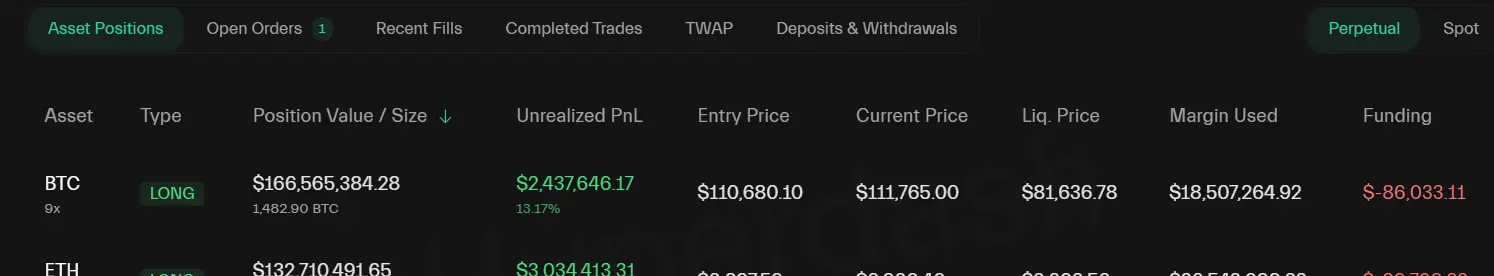 Posição Longa de Baleia Cripto em Bitcoin e Ethereum.