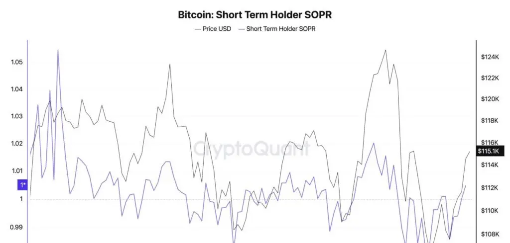 btc short term holder