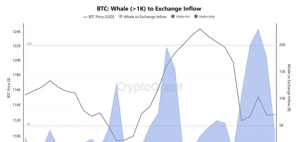 btc whale inflow