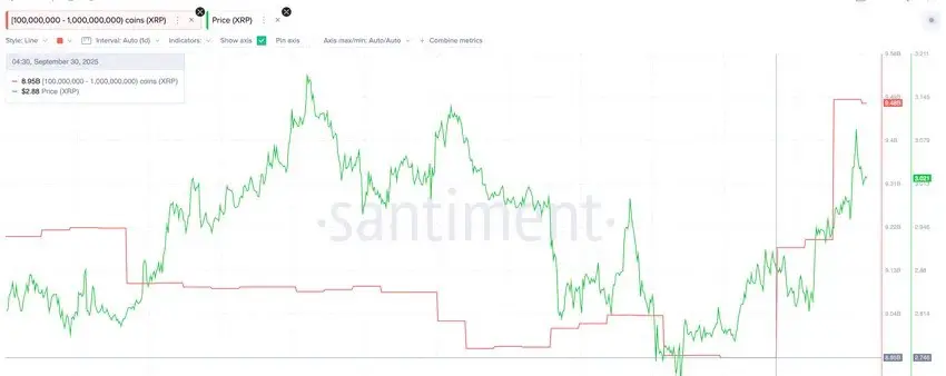 whale xrp activity