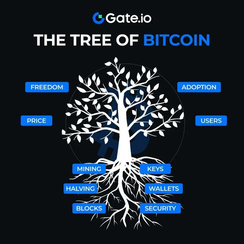 repost-content-media