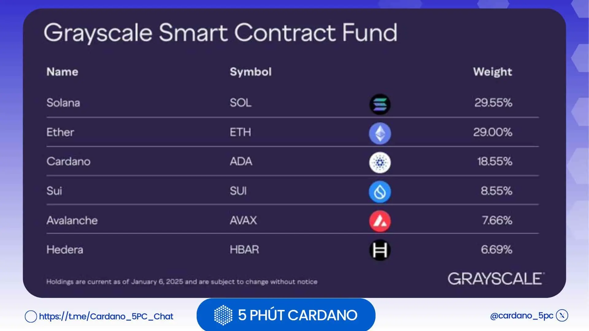 Điều gì đang xảy ra với Cardano?