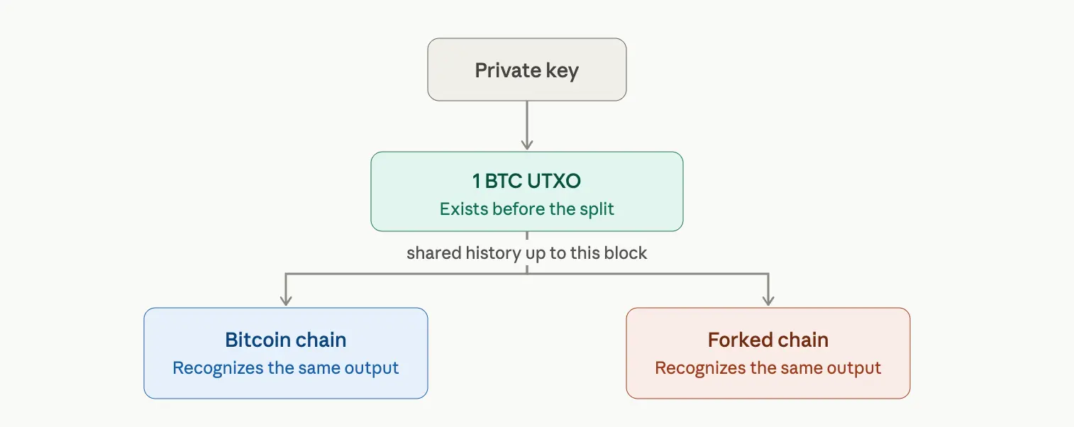 UTXO history visual.