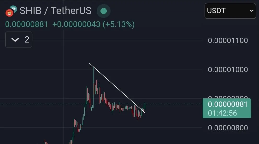 Shiba Inu breaks above the descending triangle
