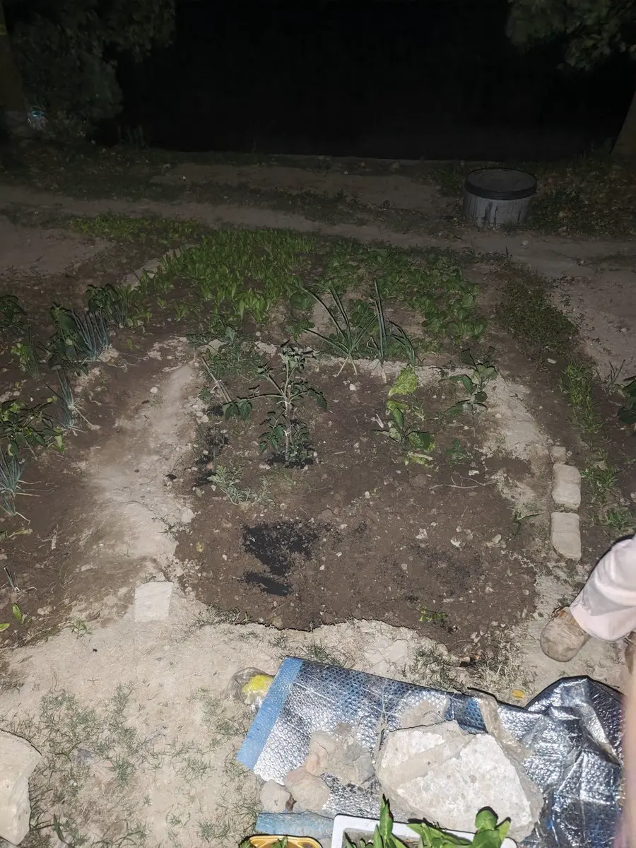 post-image