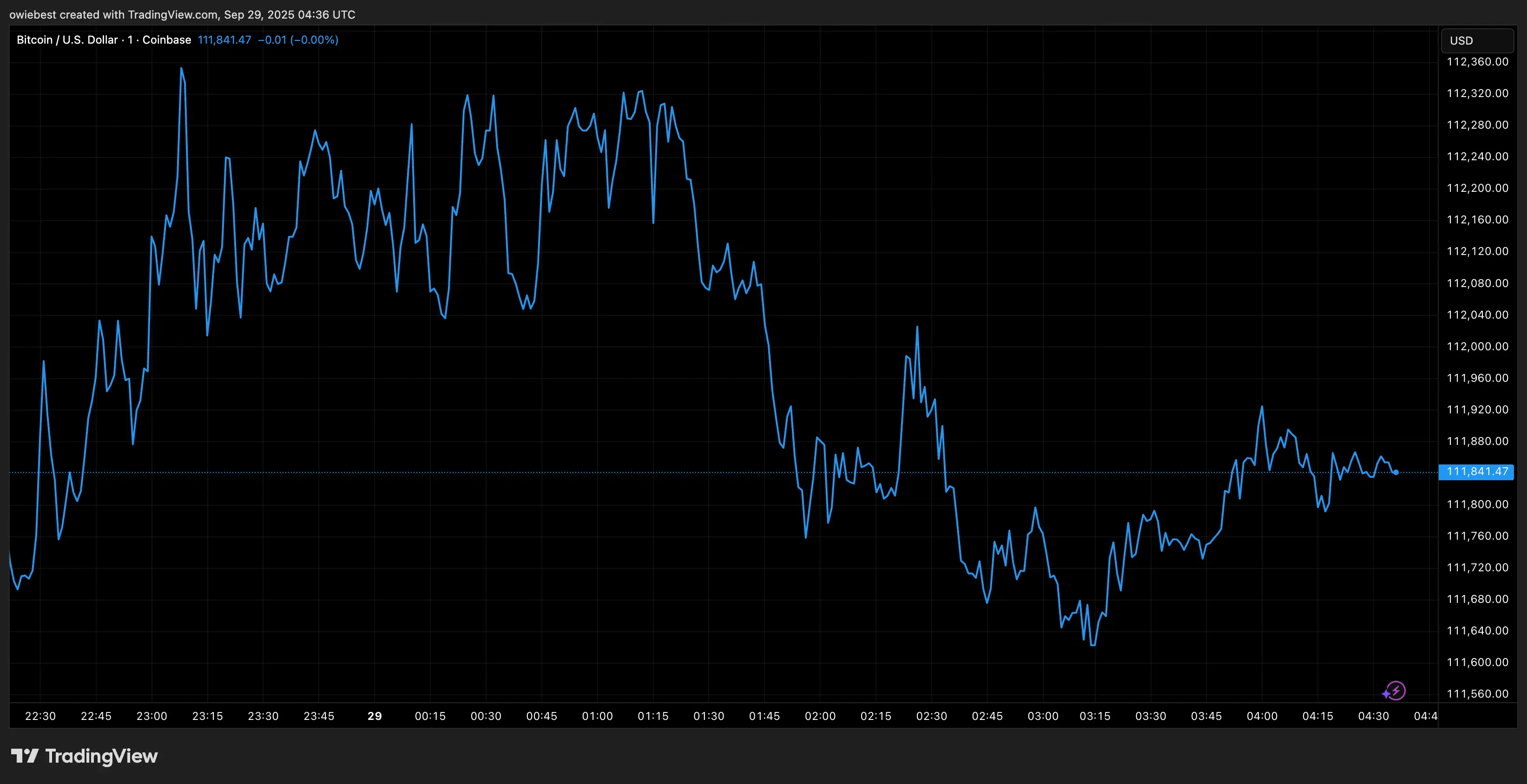 Graphique des prix du Bitcoin de TradingView.com
