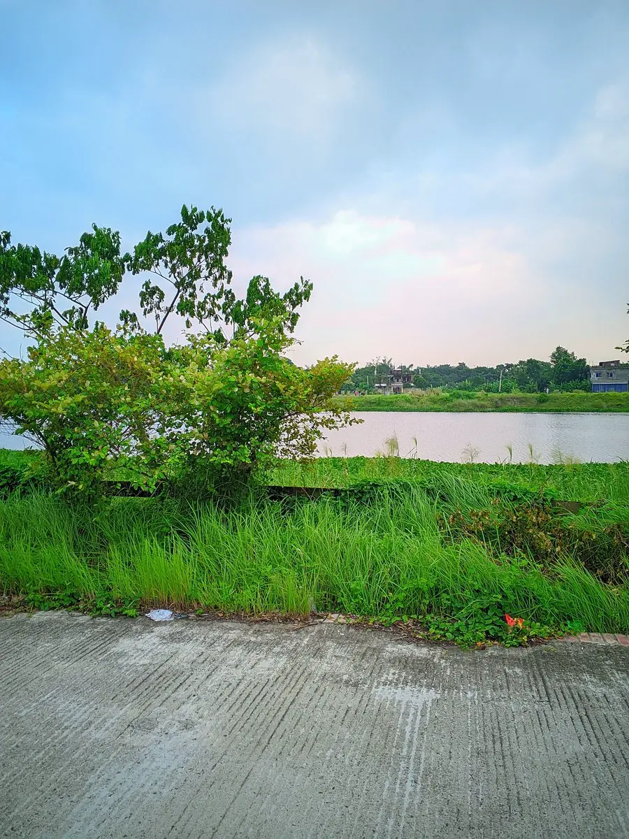 post-image