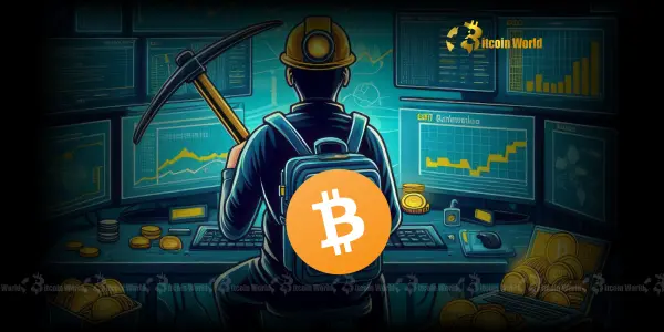 Mengungkap Volume Jaringan Bitcoin: Sinyal Penting untuk Pergerakan Harga BTC di Masa Depan