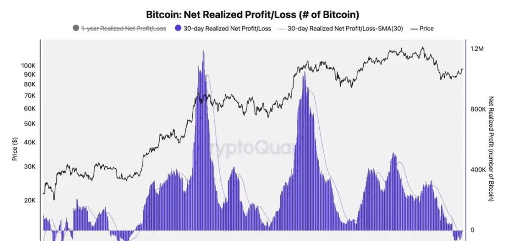 Gráfico de beneficio/pérdida realizada neta de bitcoin.