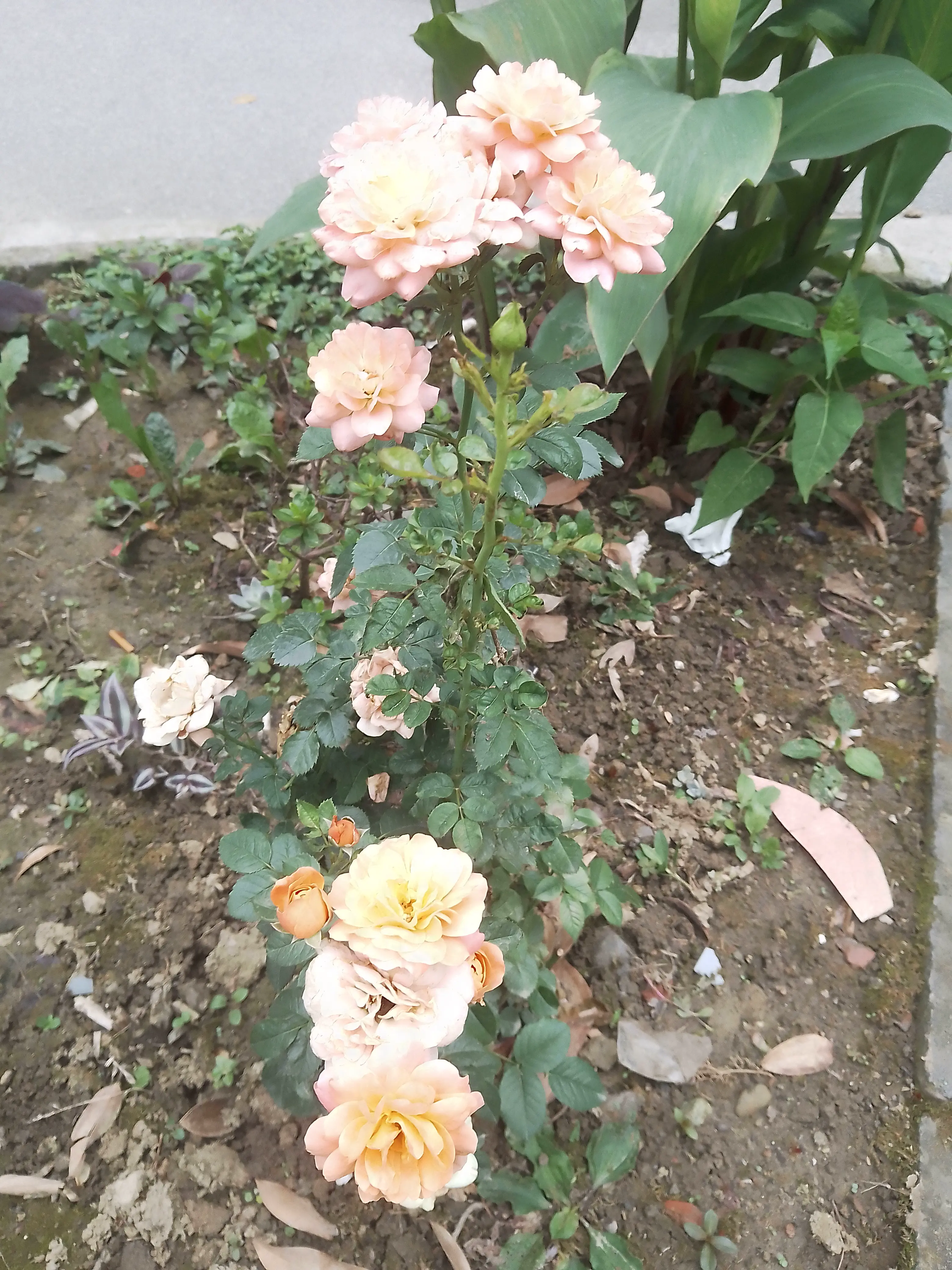 post-image