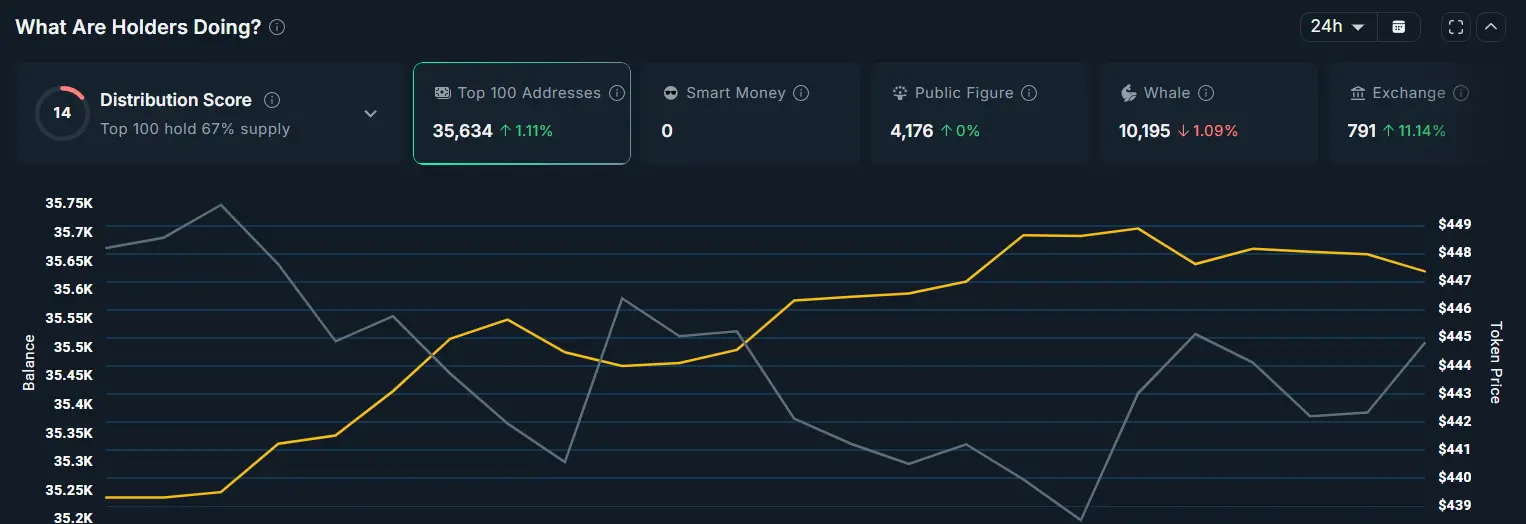 Zcash Top 100 Holder Balance