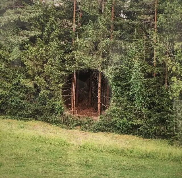 post-image
