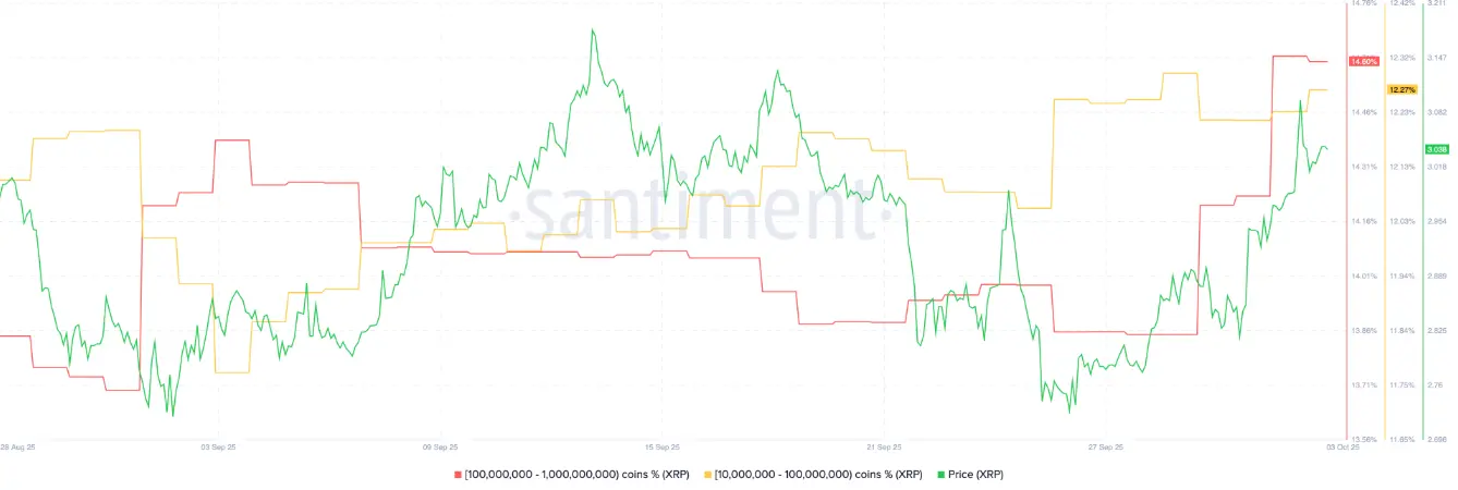 xrp-tang
