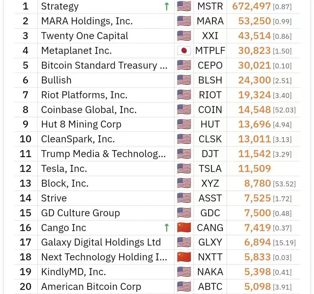 Top 20 Bitcoin Corporate Holders