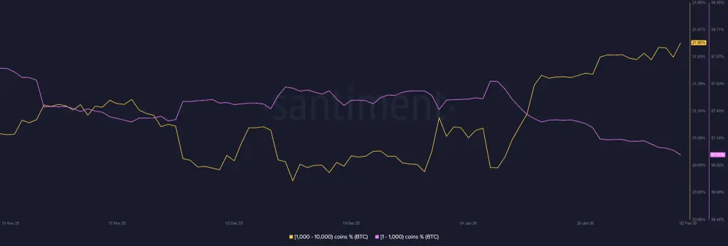 BTC Price Enters a Reset Phase After $74,500 Crash Shakes Market Structure