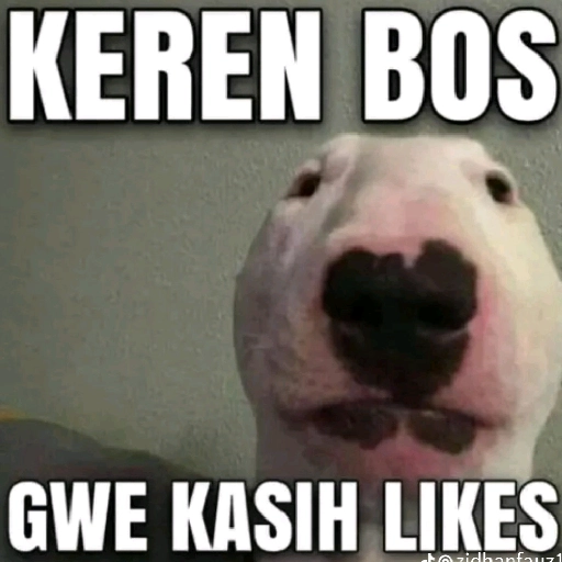 repost-content-media