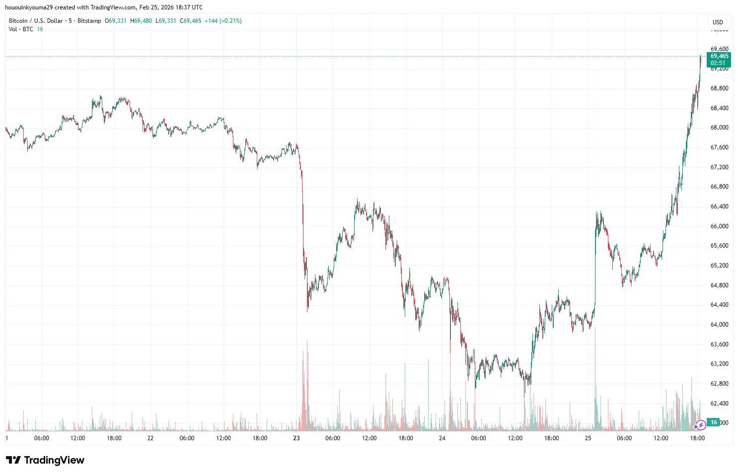 Bitcoin Price Chart