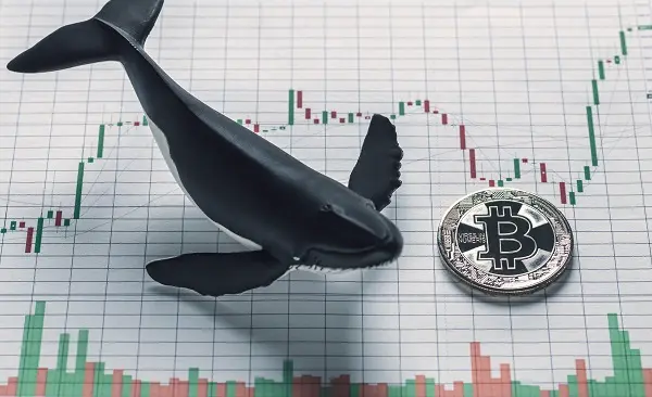 Bitcoin whales [Photo: Shutterstock]