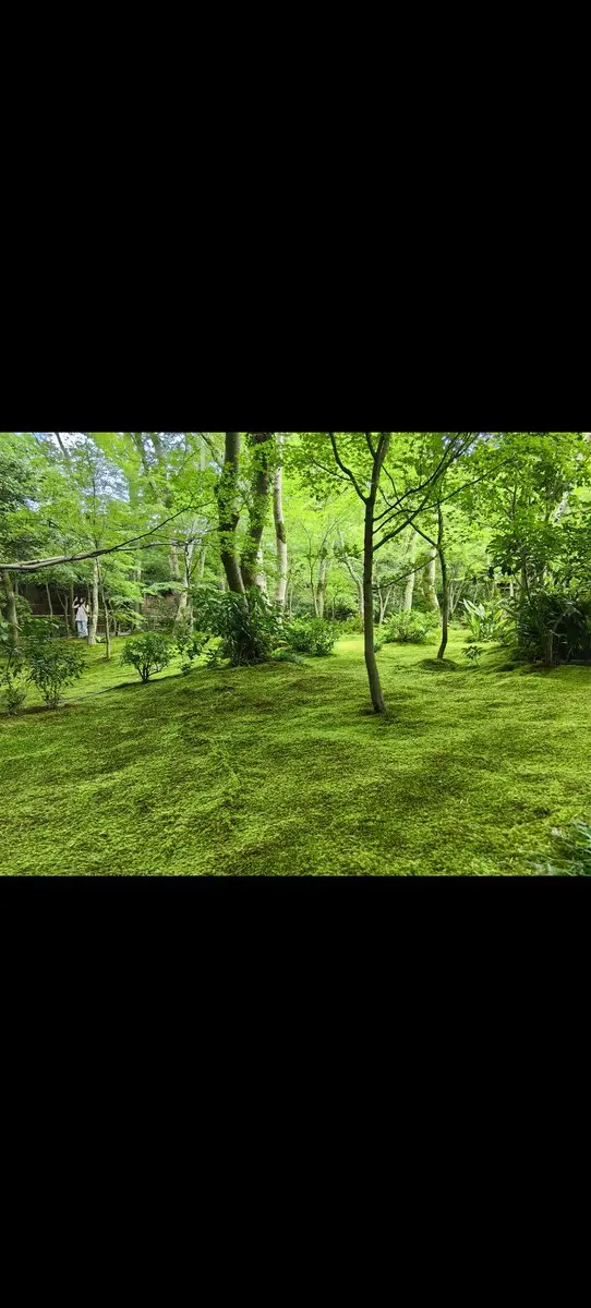 post-image