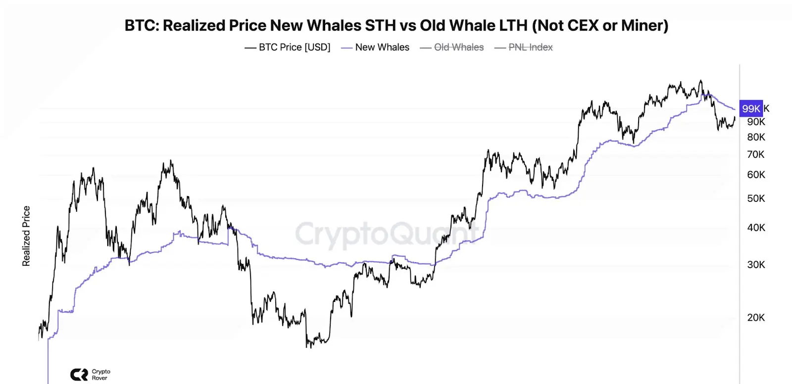 Bitcoin whale holdings analysis
