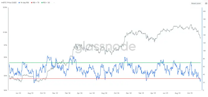 Glassnode Bitcoin RSI since 2023.