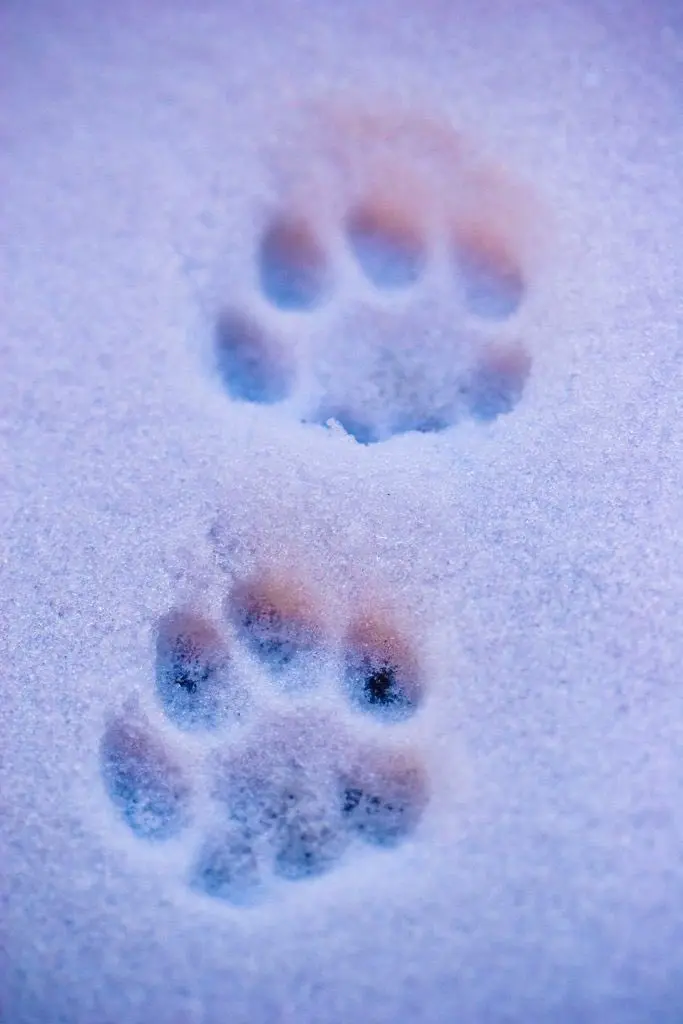 post-image
