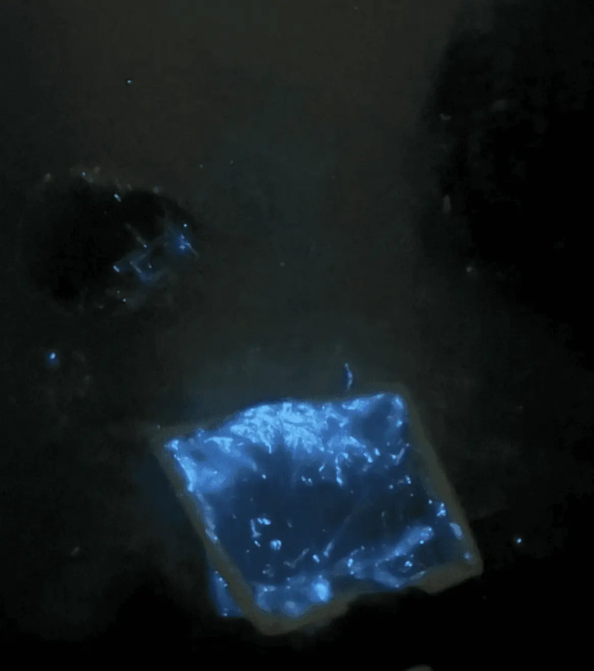 post-image