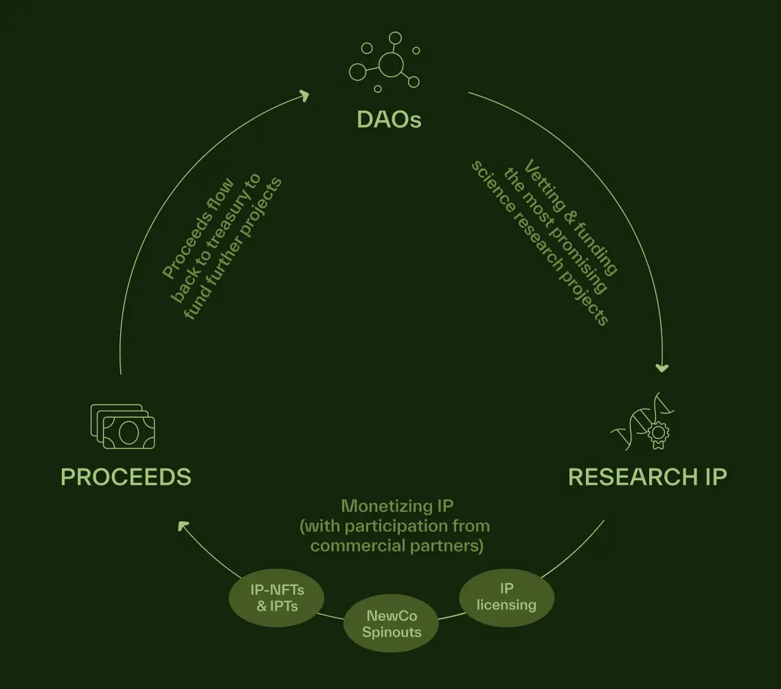 BIO Protocol Deep Research Report: Binance Strongly Supports the Decentralized Science (DeSci) platform