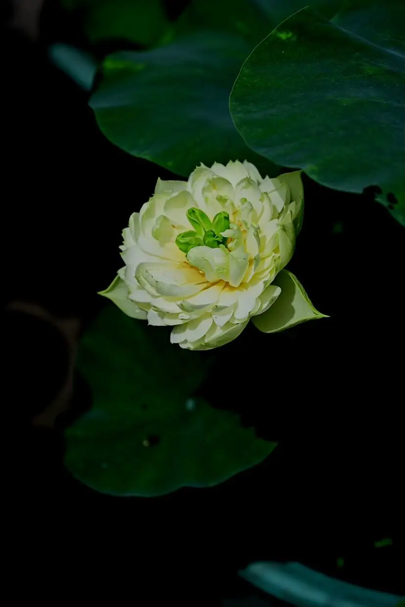 post-image