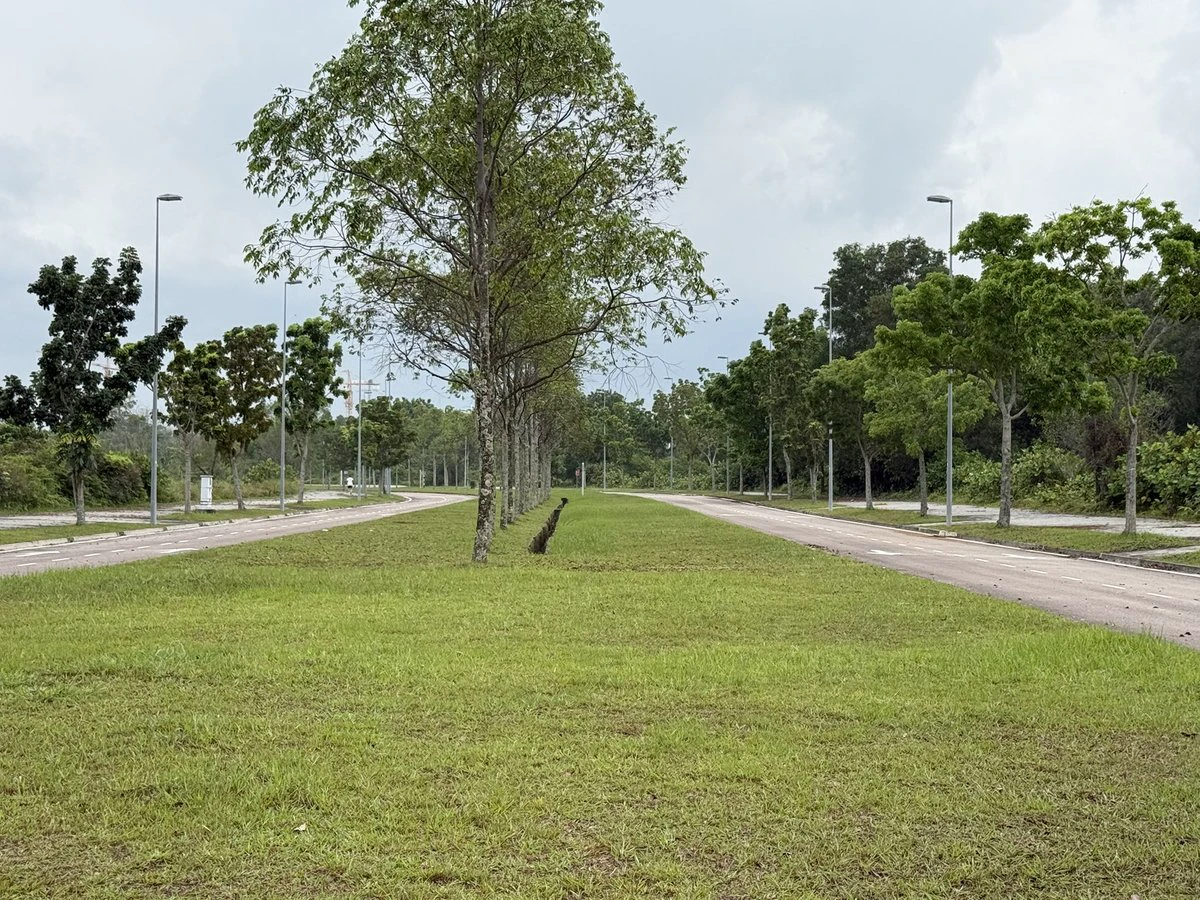 post-image