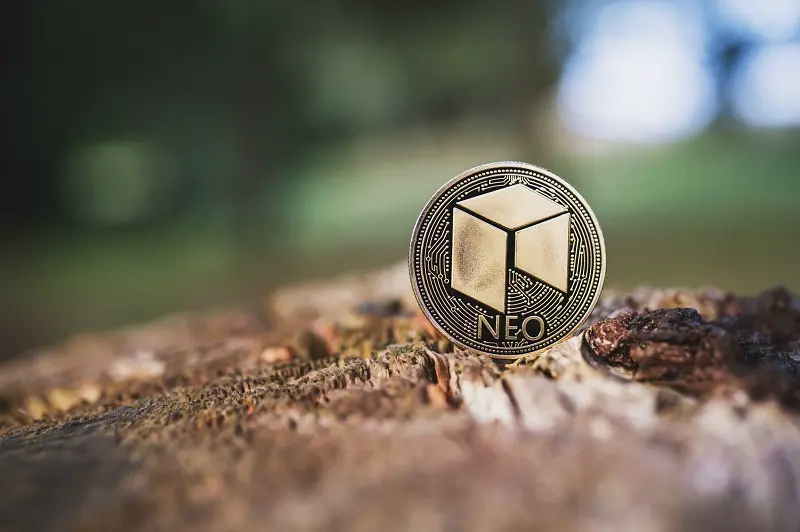 NEO price rises