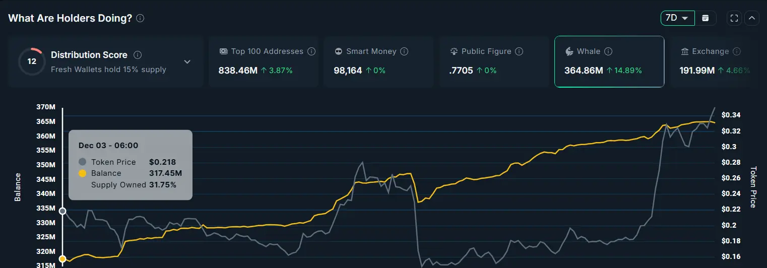 PIPPIN Whale Holding.