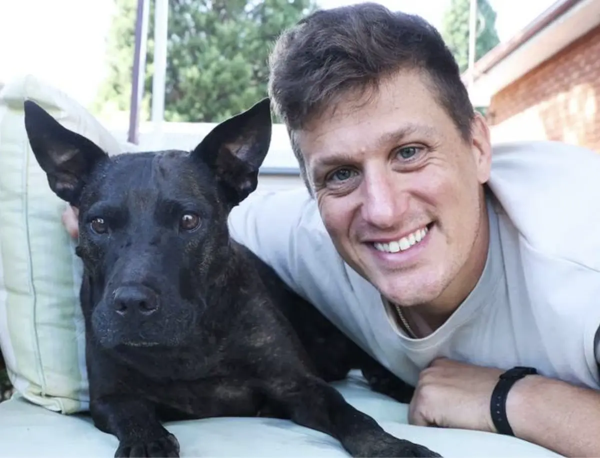 repost-content-media