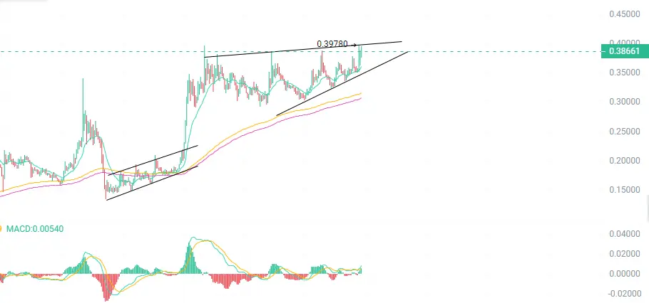 repost-content-media