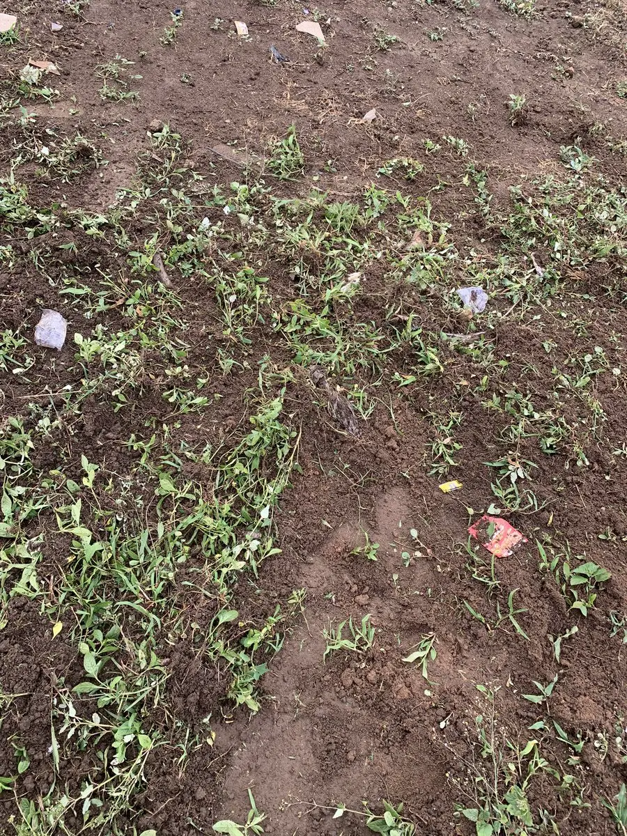 repost-content-media