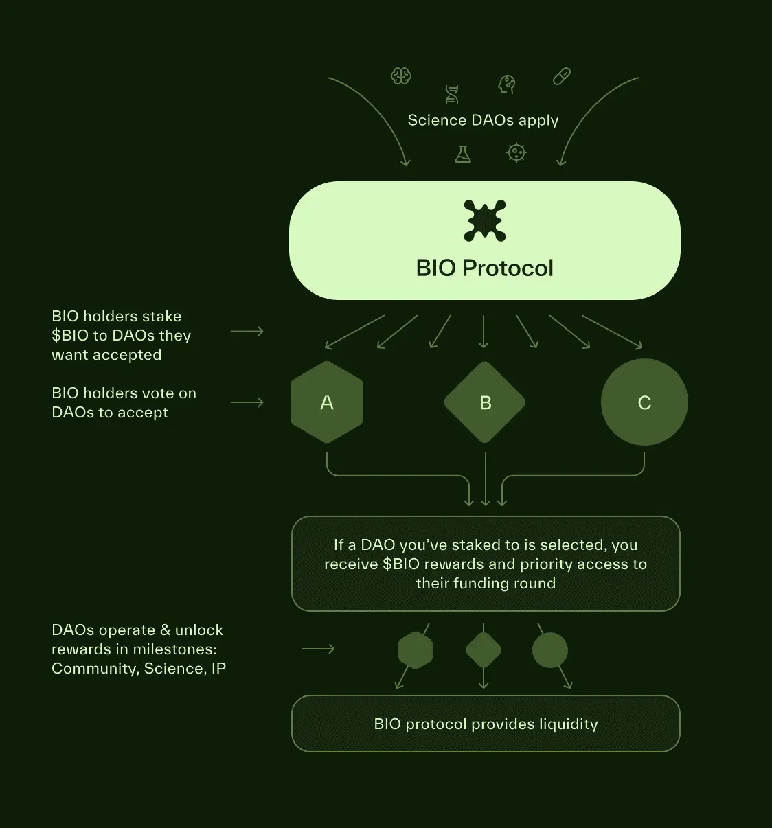 BIO Protocol Deep Research Report: Binance's Strong Support for the Decentralization Science (DeSci) platform