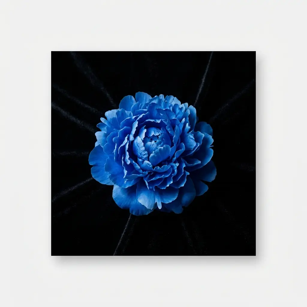 BluePeonyDarkroom
