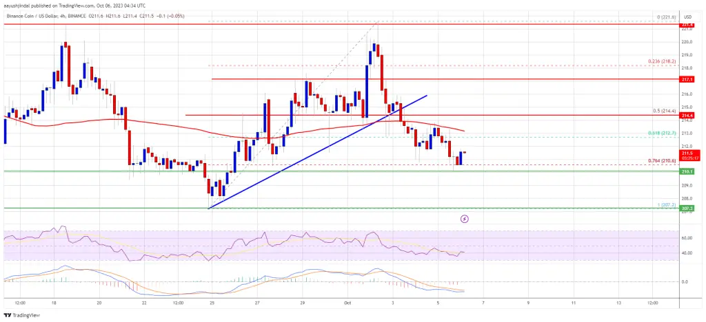 BNB Price Prediction