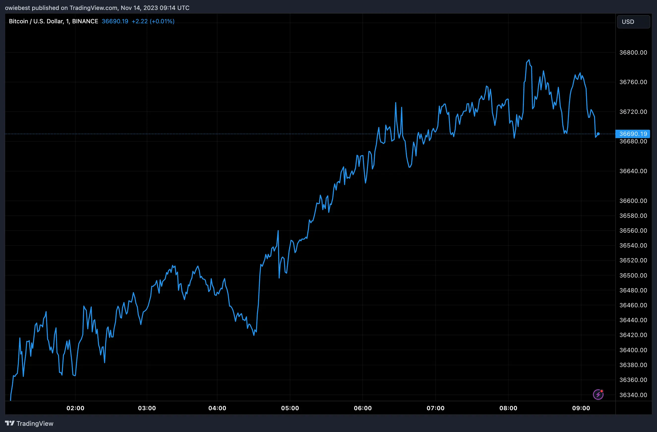 Bitcoin price chart from Tradingview.com (Spot Bitcoin ETF)