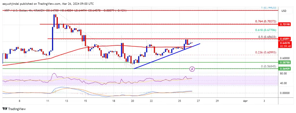 XRP Price Prediction