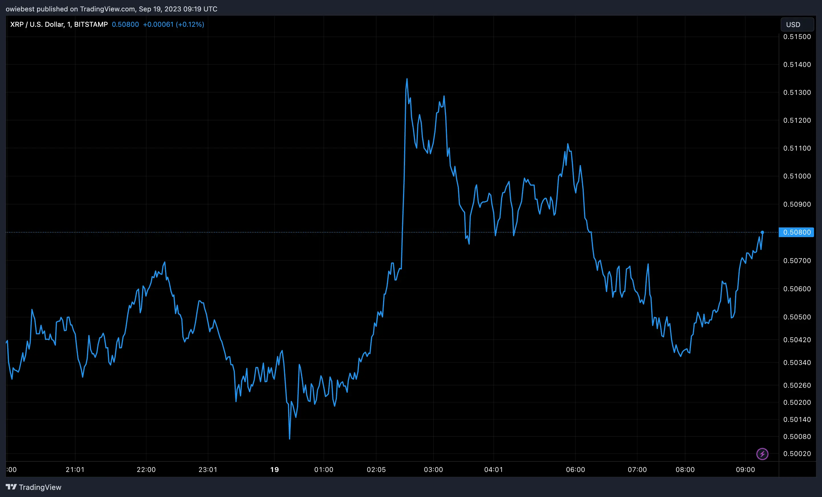 Ripple XRP price chart from Tradingview.com (Ripple CTO price predictions)