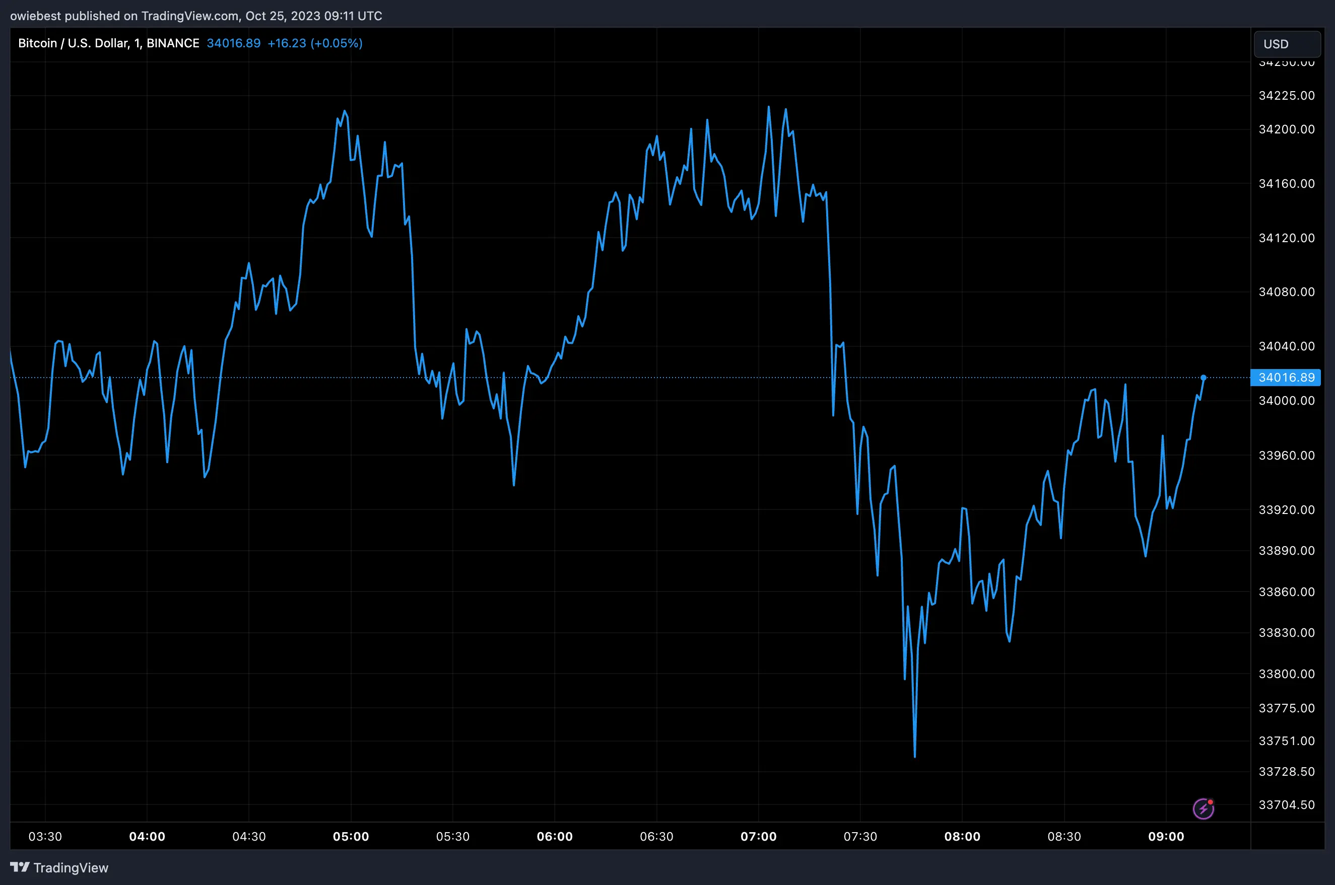 Bitcoin price chart from Tradingview.com (BTC profit)