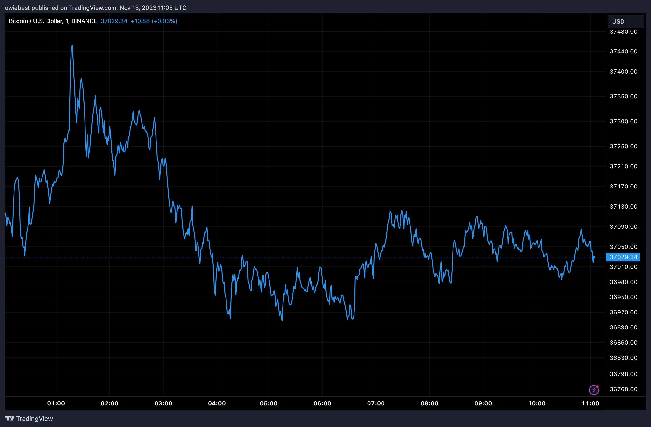 Bitcoin price chart from Tradingview.com (Spot Bitcoin ETF Peter Schiff economist)