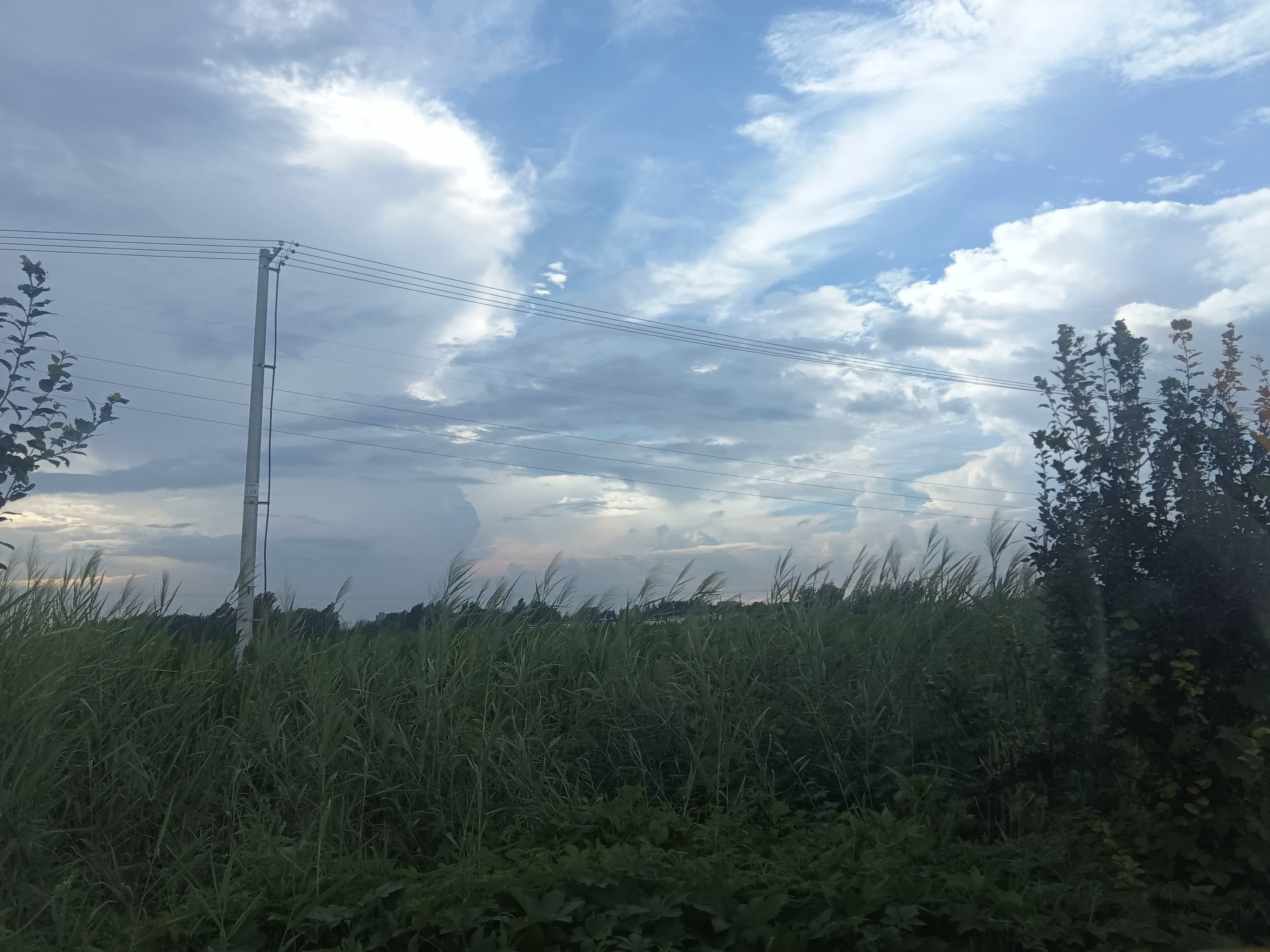 post-image
