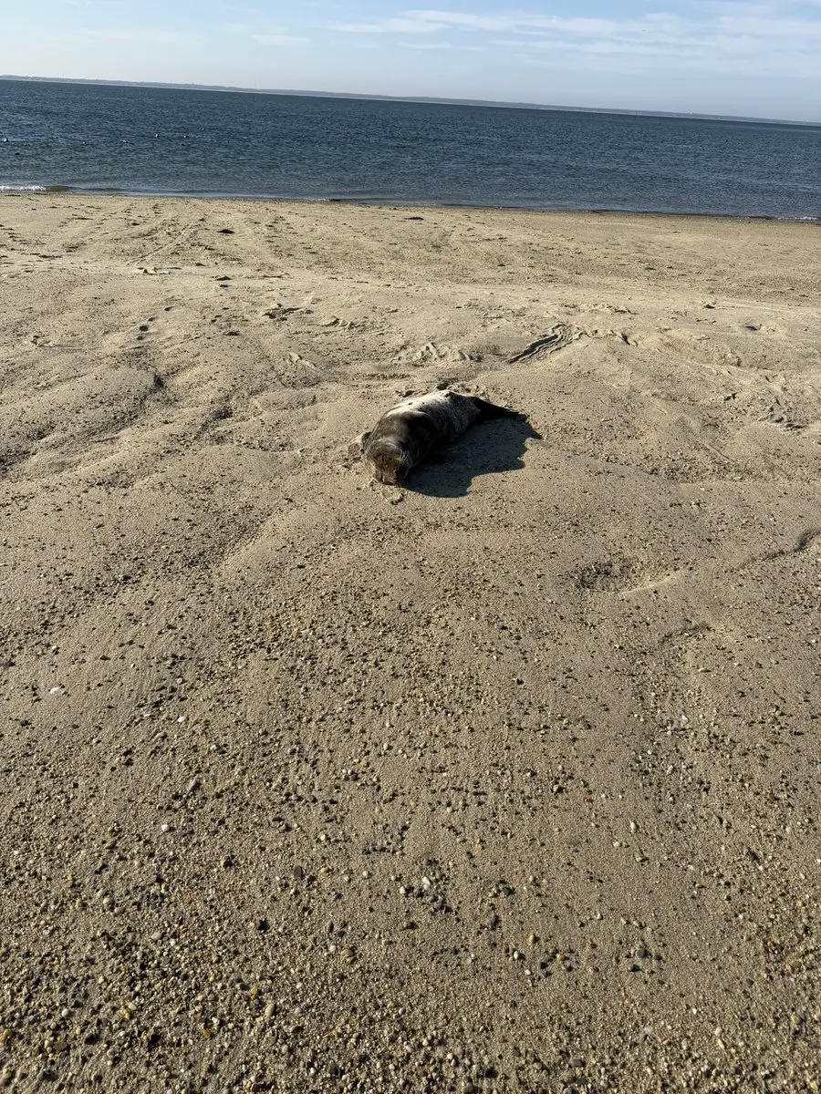 post-image