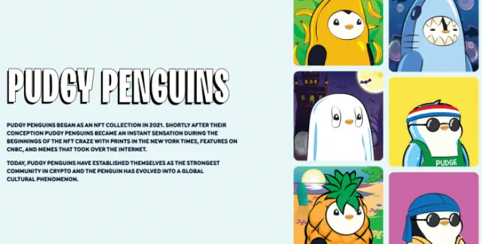 Pudgy Penguins açıklaması
