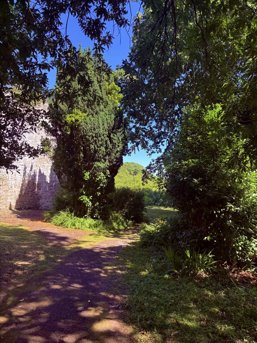 post-image