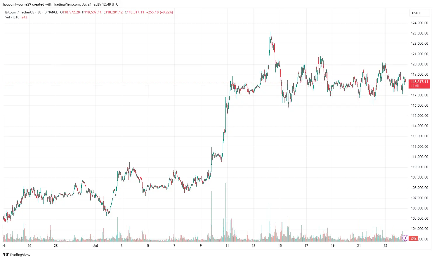 Bitcoin Price Chart