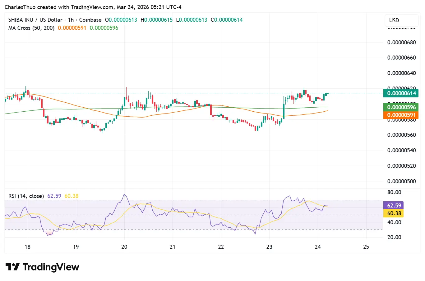 Shiba Inu 1-hour chart
