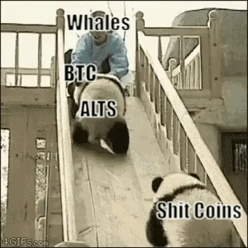 repost-content-media